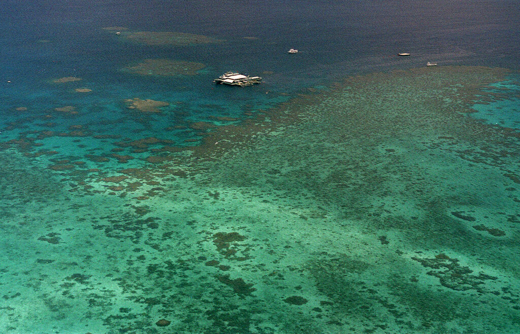 Μεγάλος Κοραλλιογενής Ύφαλος