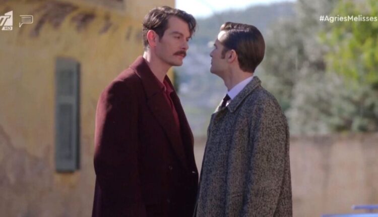 Άγριες Μέλισσες