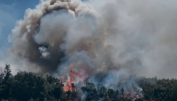 Βαρνάβας Αττικής