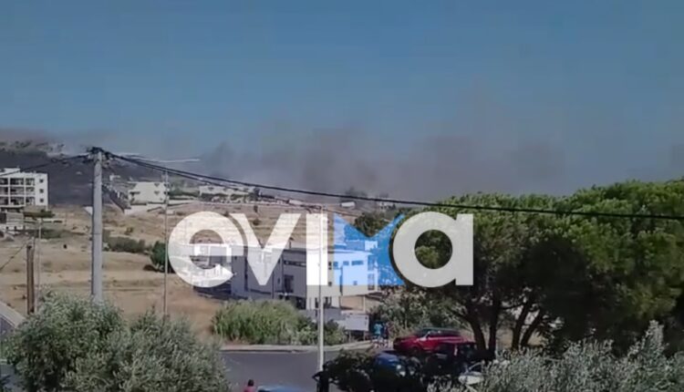 Φωτιά στην Κάρυστο