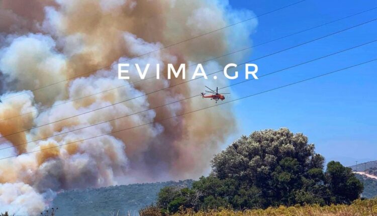 Φωτιά στα Πολιτικά Ευβοίας
