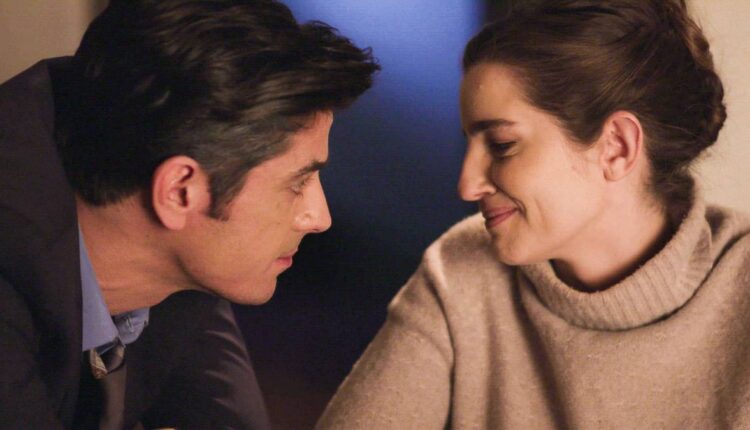 Άγριες Μέλισσες