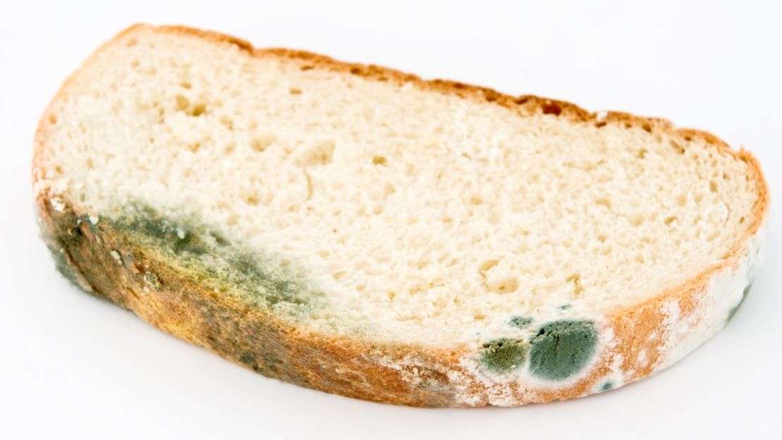 Μουχλιασμένο ψωμί