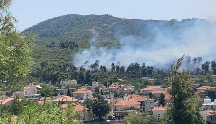 Φωτιά Σταμάτα