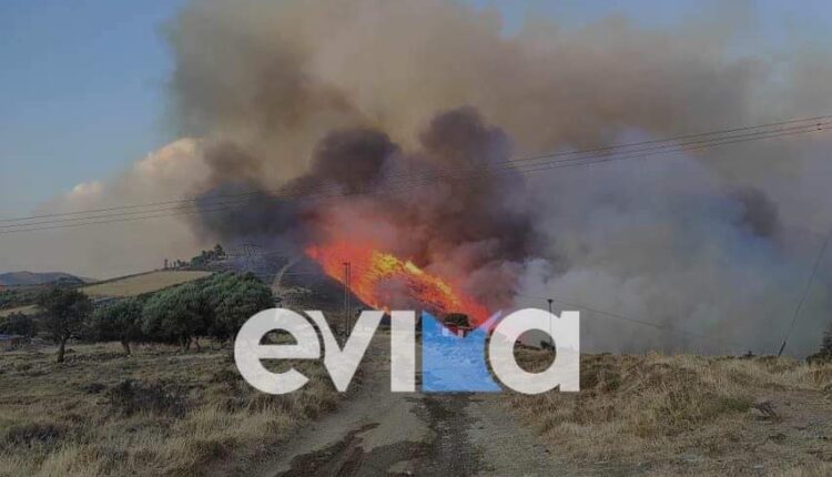 Φωτιά στον Φυγιά