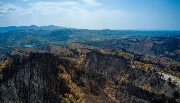 Φωτιά στην Ηλεία - φωτογραφία από drone