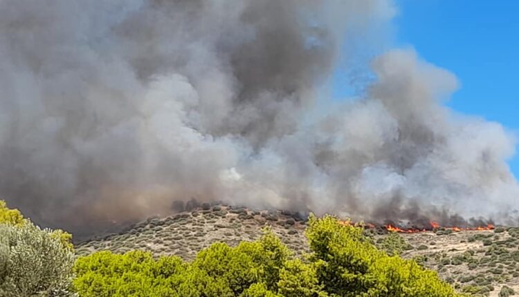 Φωτιά Μαρκάτι