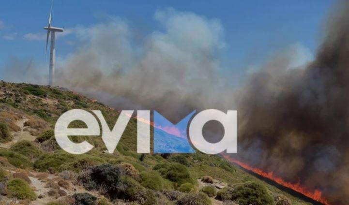 Φωτιά στα Μεσοχώρια Ευβοίας