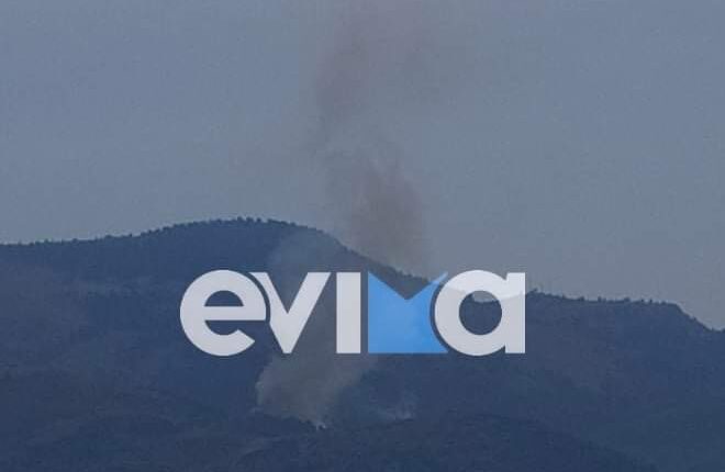 Φωτιά στον Μίστρο Ευβοίας
