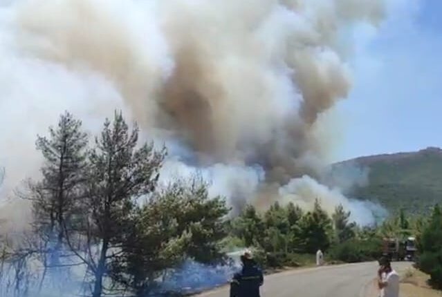 Φωτιά στα Βίλια