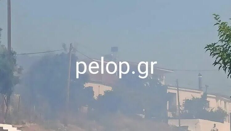 Φωτιά στην Άρλα Αχαΐας