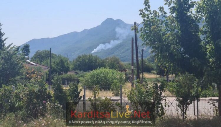 Φωτιά στην Καρδίτσα