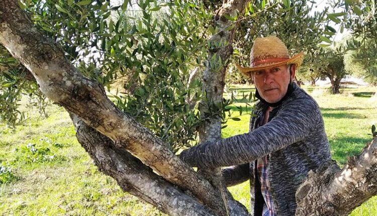 Γιάννης Κανελλόπουλος