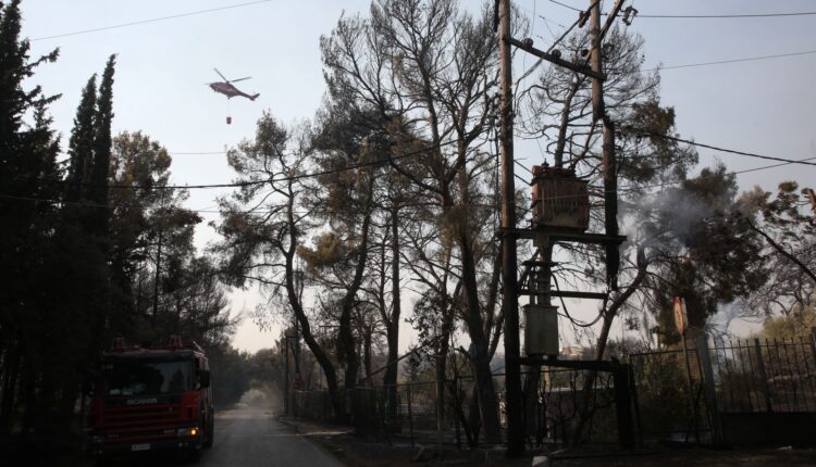 Καμμένο δάσος στη Βαρυμπόμπη