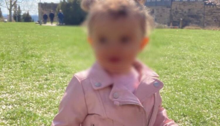 Μικρή Νεφέλη