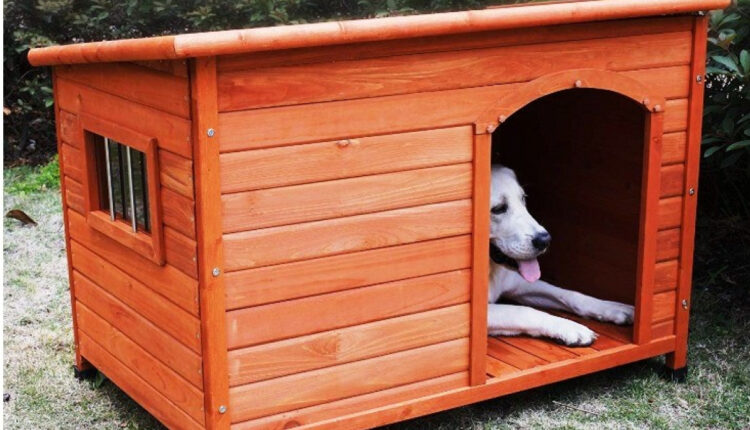 Σκυλόσπιτο Καβάλα