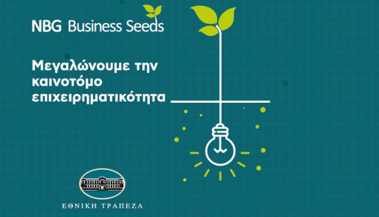 NBG Business Seeds