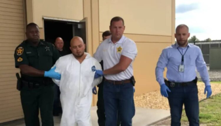 Πεζοναύτης