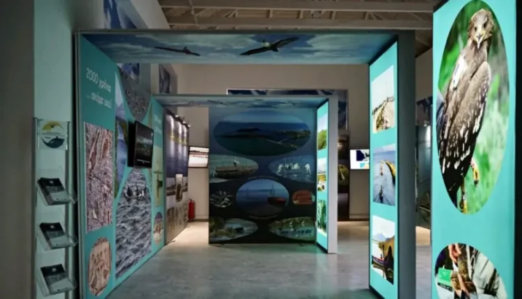 αμβρακικός