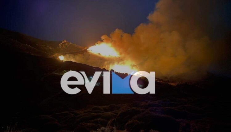 Φωτιά στην Κάρυστο