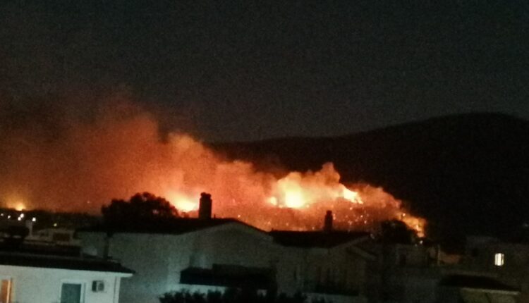 Φωτιά στη Νέα Μάκρη