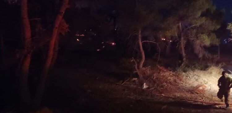 Φωτιά στη Νέα Μάκρη