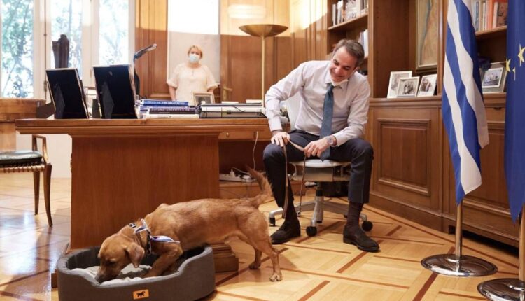 Μητσοτάκης Πίνατ