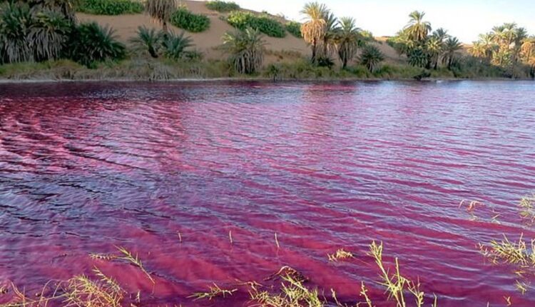 Νεκρά Θάλασσα