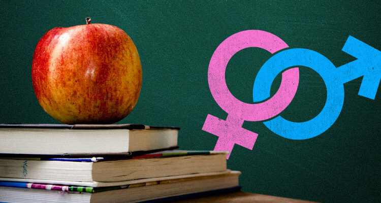 Σεξουαλική διαπαιδαγώγηση