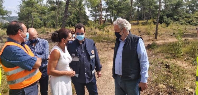 Στυλιανίδης