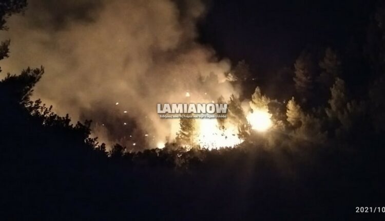 Φωτιά στη Φθιώτιδα