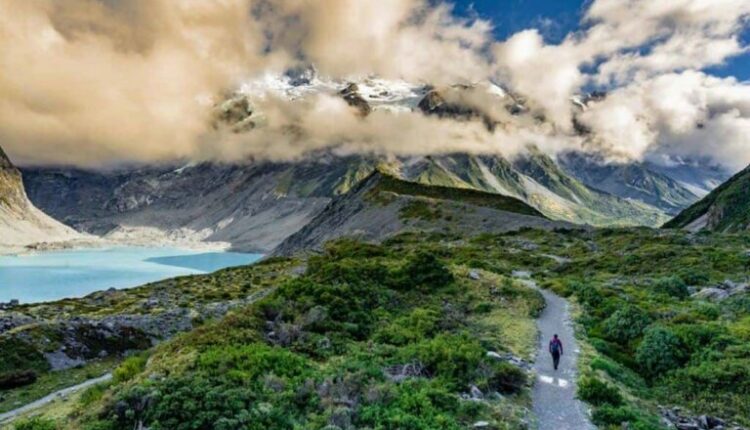 νέα ζηλανδία