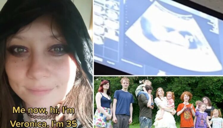 βερόνικα-μέριτ