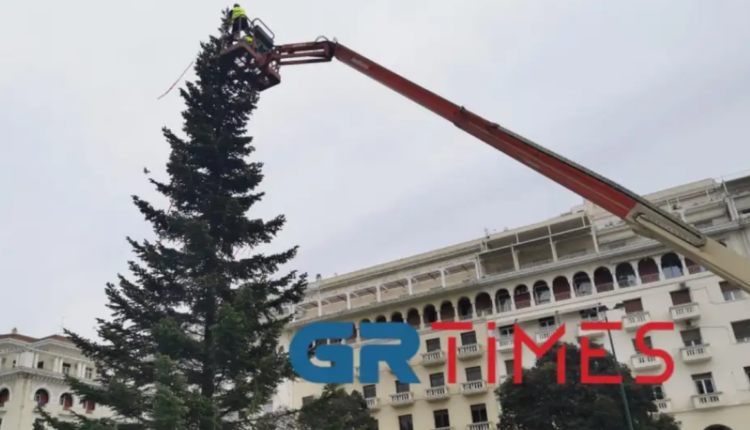 Έλατο στη Θεσσαλονίκη