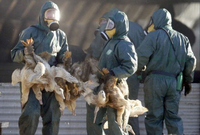 γρίπη-πτηνών