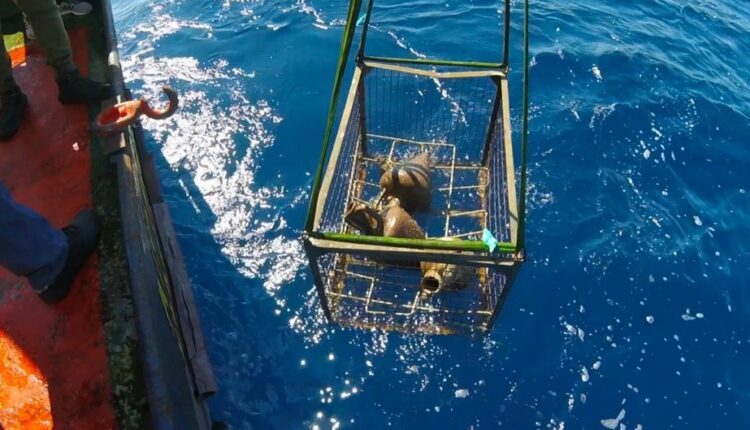 Ναυάγιο στα Κύθηρα