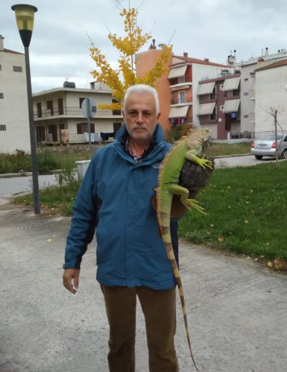 Ιγκουάνα στη Λάρισα