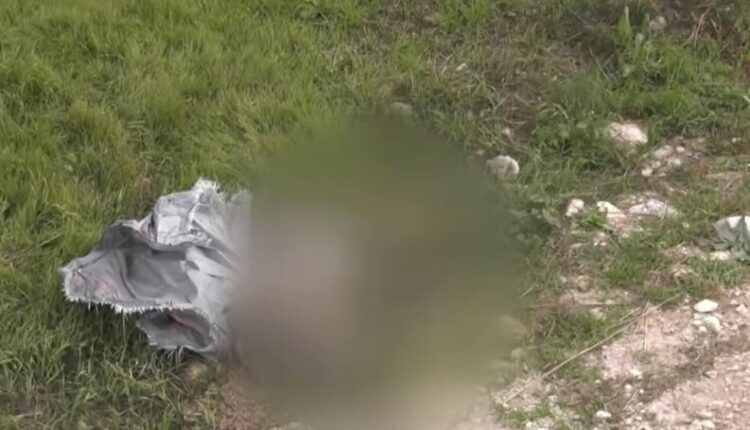 Σκύλος στη Σάμο