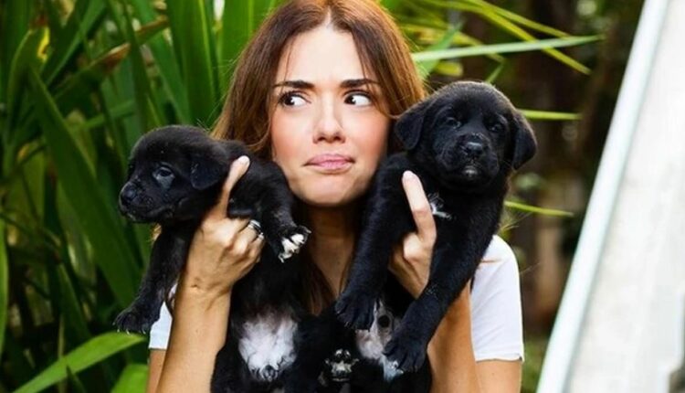 Λασκαράκια - κουτάβια