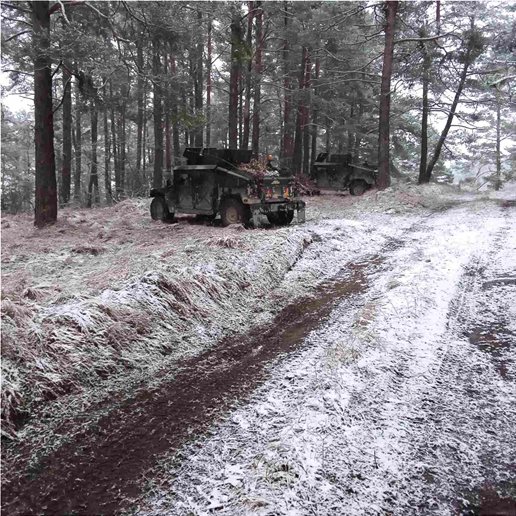 Πολυεθνική άσκηση «COMBINED RESOLVE XVI»