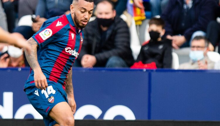 Λεβάντε - Μαγιόρκα