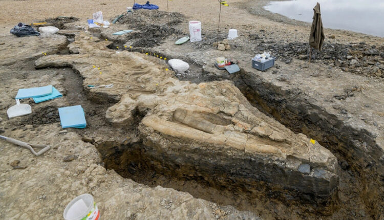 ιχθυόσαυρος