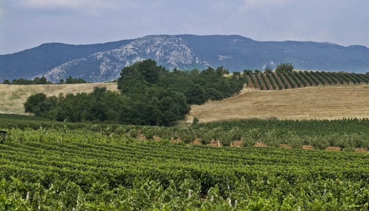 ΚΤΗΜΑ