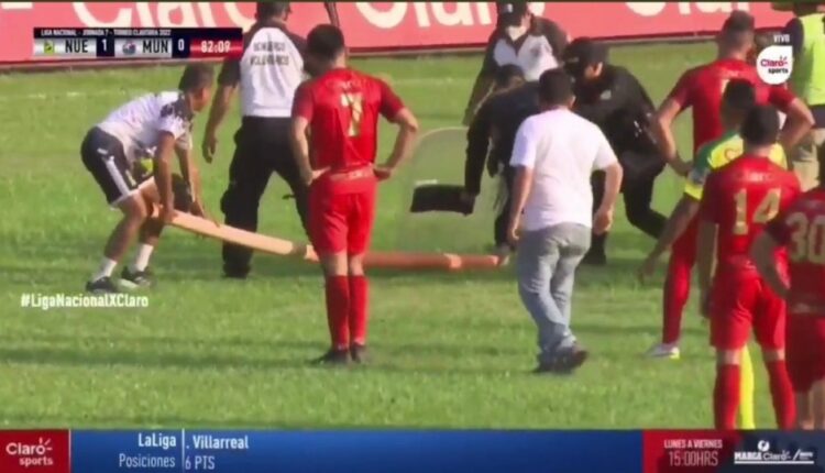 φίδι-γουατεμάλα