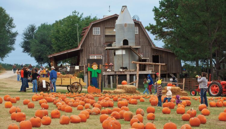Αγροτουρισμός