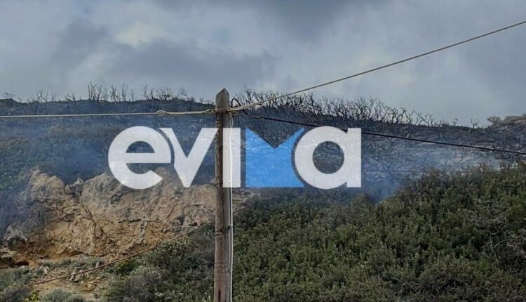 Φωτιά στη Σκύρο