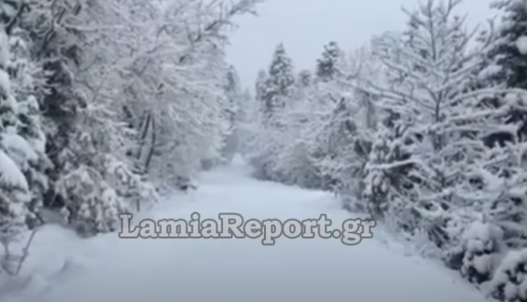 Κακοκαιρία Φίλιππος