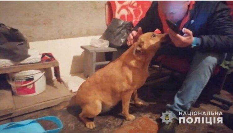 σκυλί-ουκρανία