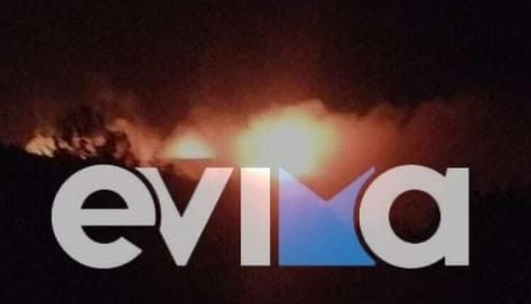 Φωτιά στην Εύβοια