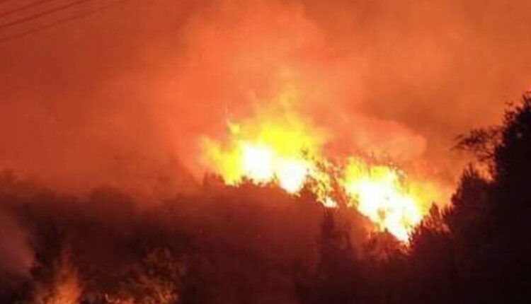 Φωτιά στην Ηλεία